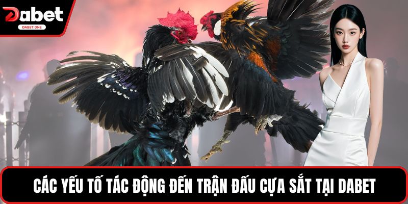 Các yếu tố tác động đến trận đấu cựa sắt tại Dabet