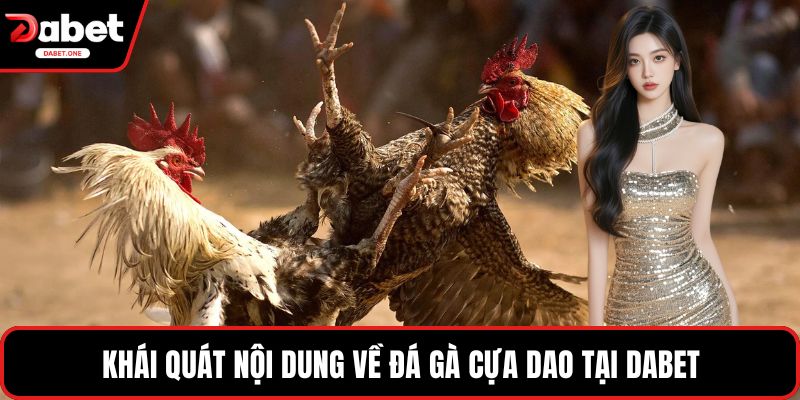 Khái quát nội dung về đá gà cựa dao tại Dabet
