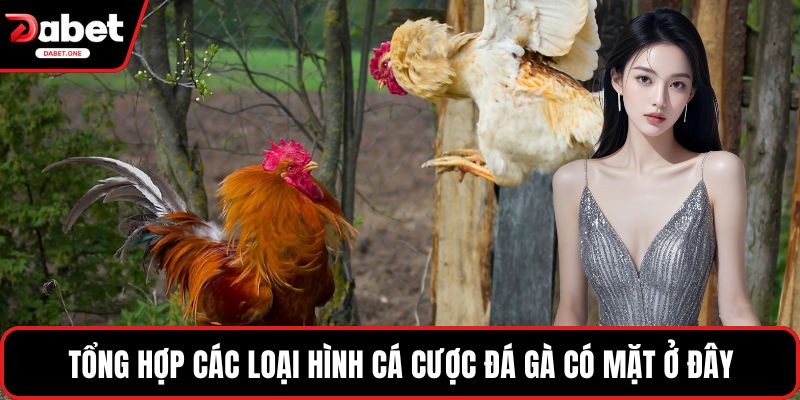  Tổng hợp các loại hình cá cược đá gà có mặt ở đây