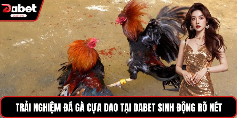  Trải nghiệm đá gà cựa dao tại Dabet sinh động rõ nét